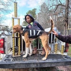 Meet your Posher, Brett